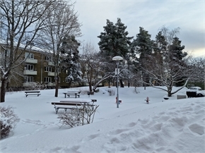 Områdesbild